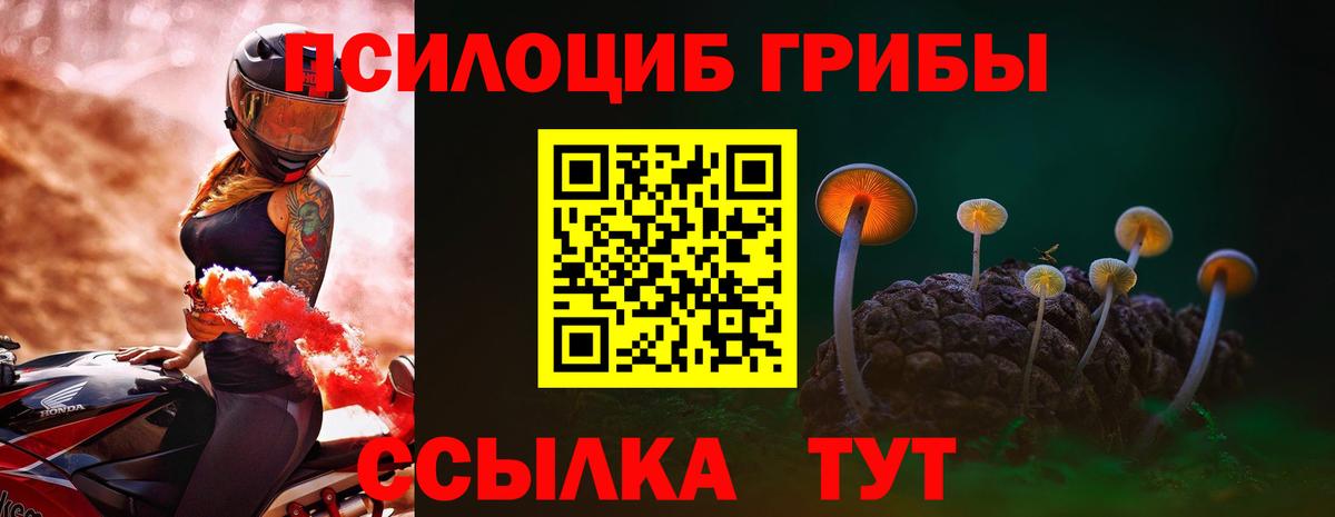 Минеральные Воды  Псилоцибиновые грибы MAGIC MUSHROOMS  Вход с VPN 